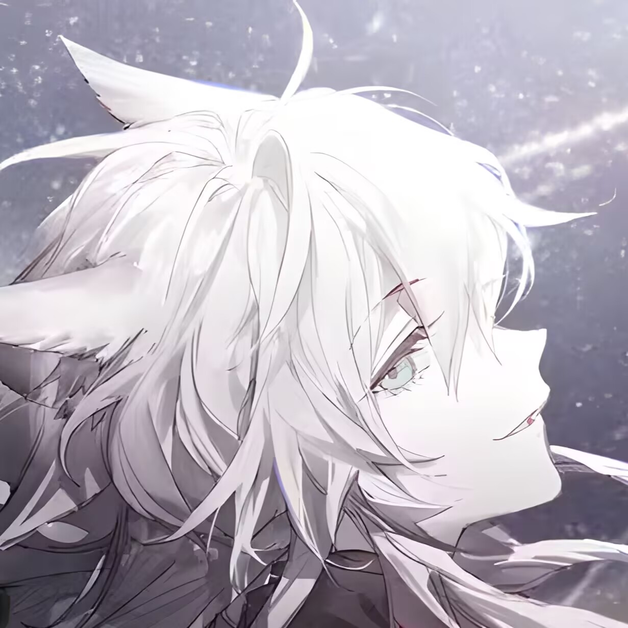 Seconviの主页✨